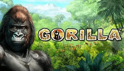 Gorilla — игровой автомат